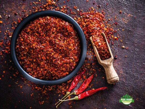 Piment en poudre